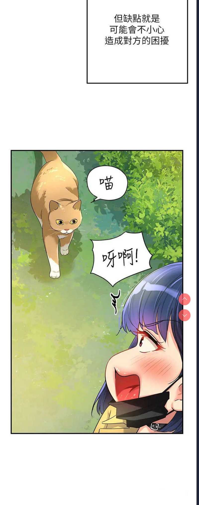 第 4 张