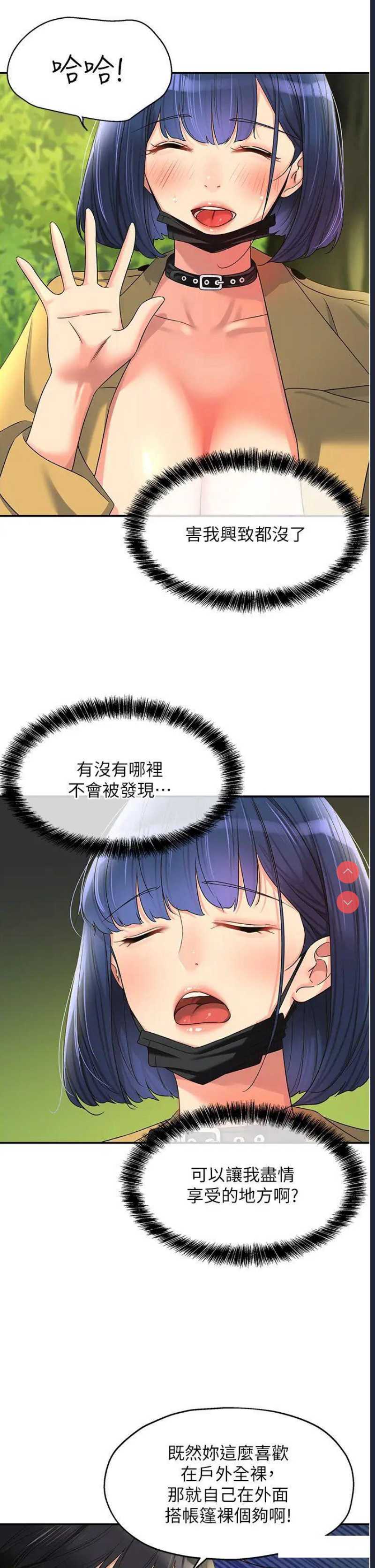 第 5 张