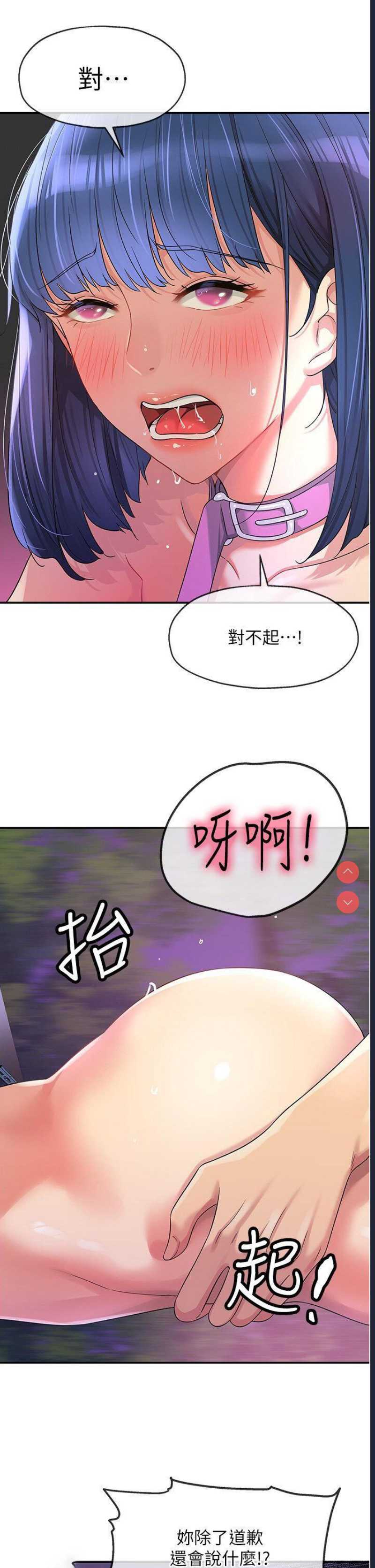 第 12 张