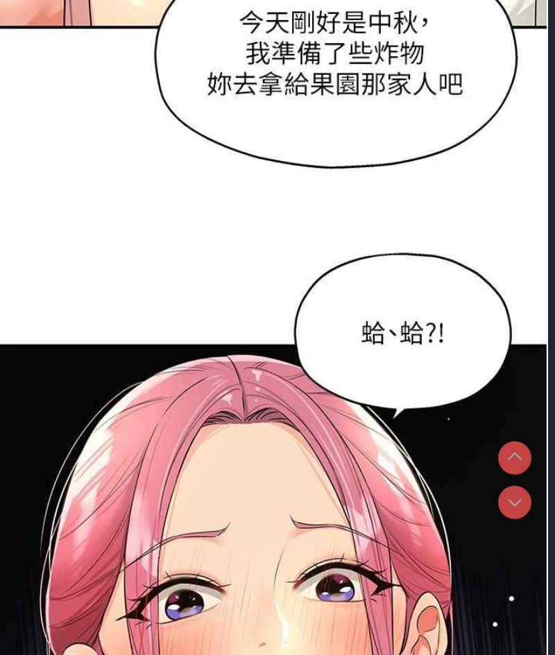 第 12 张