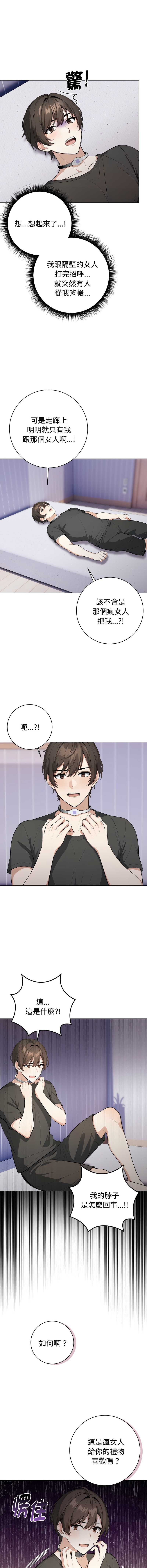 第 4 张