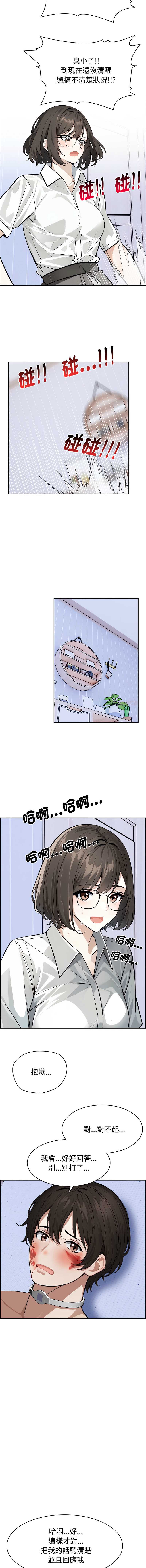 第 3 张