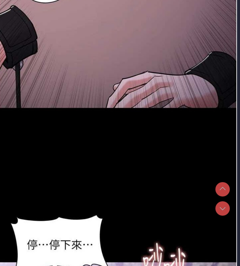 第 5 张