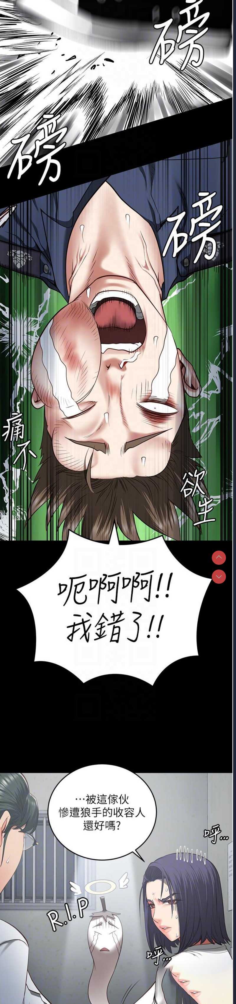 第 11 张
