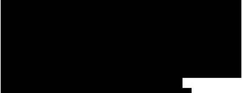 第 12 张