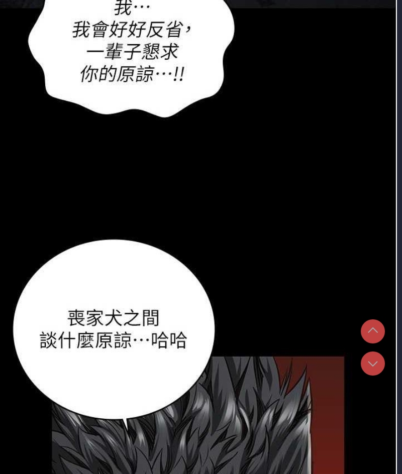 第 3 张