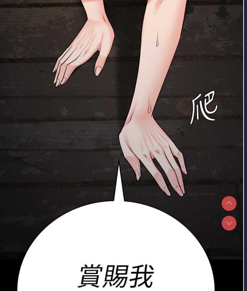 第 12 张