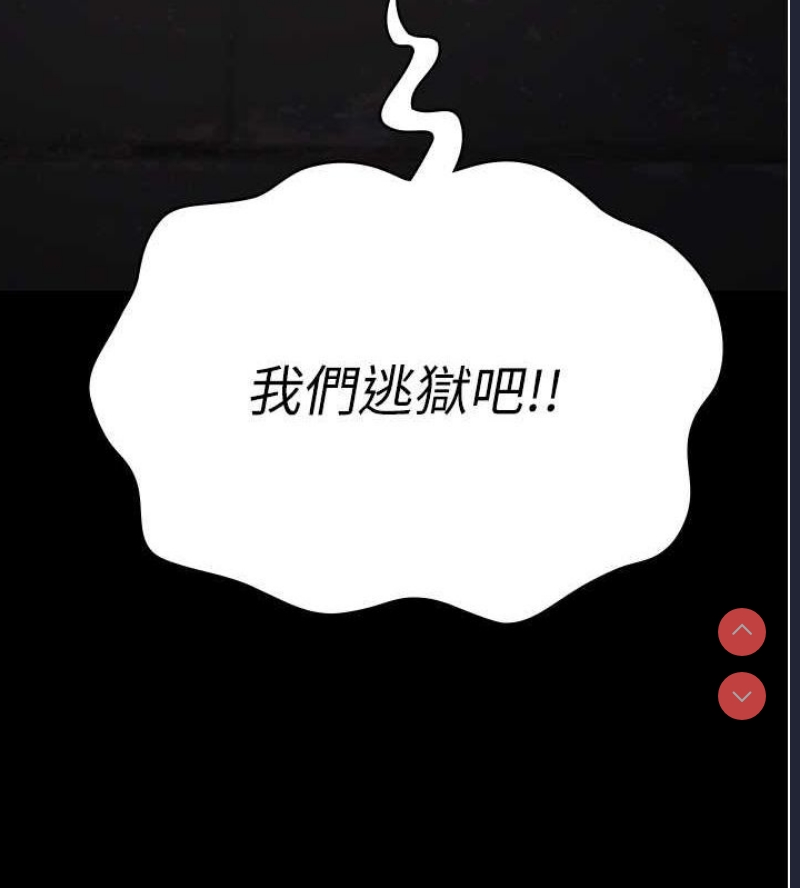 第 11 张