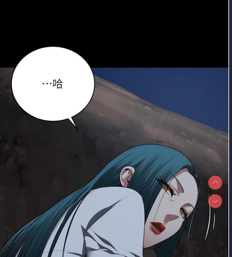 第 11 张