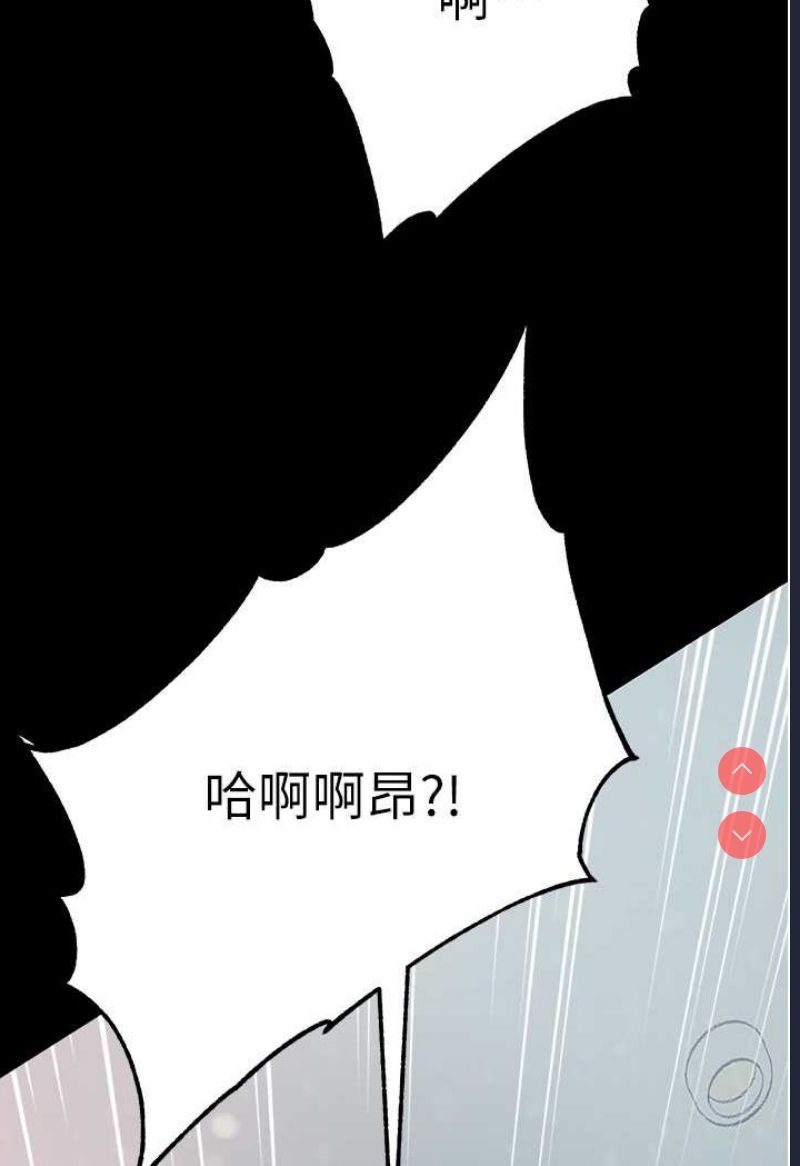 第 4 张