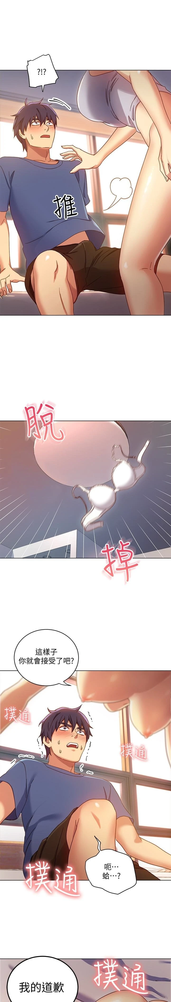 第 10 张