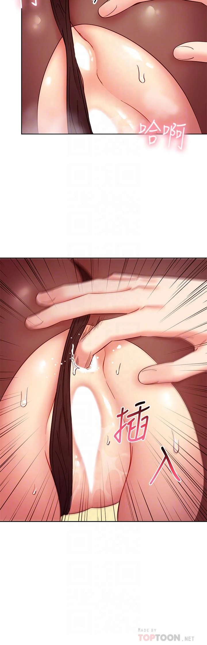第 12 张