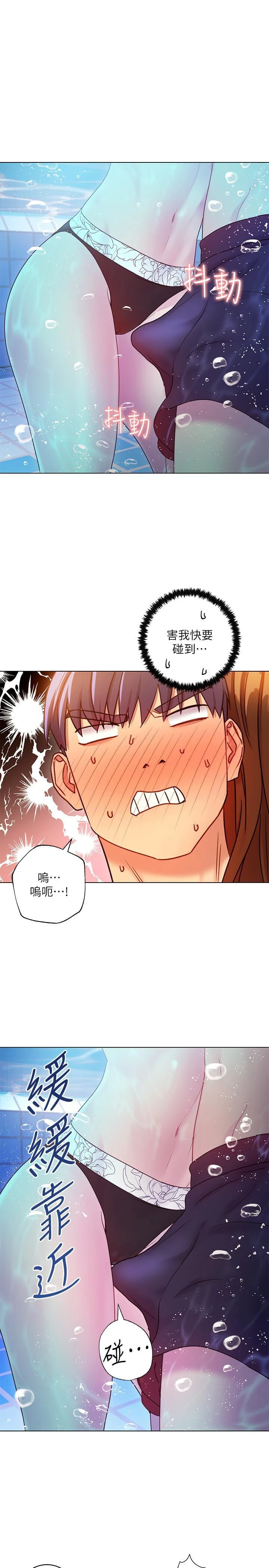 第 11 张