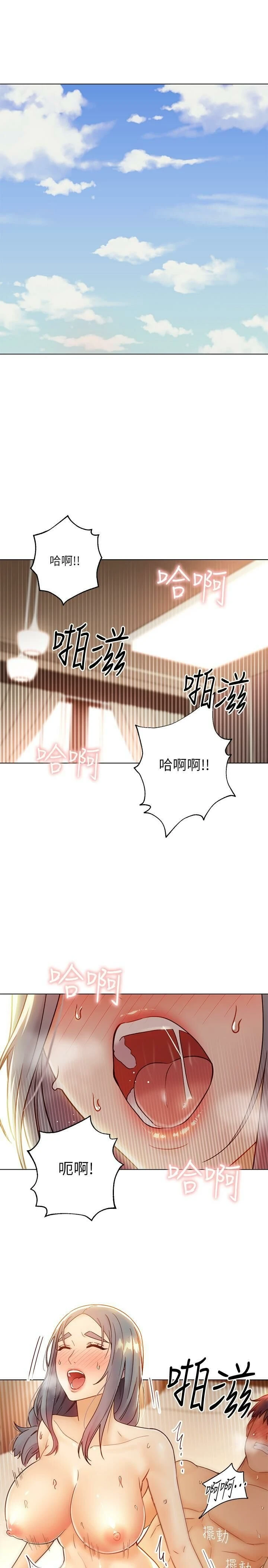 第 3 张
