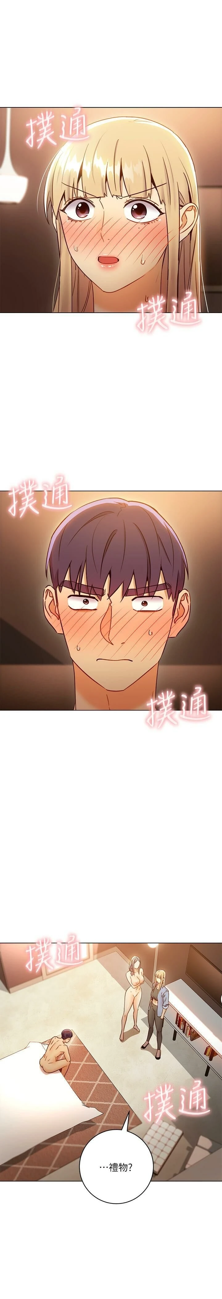第 3 张