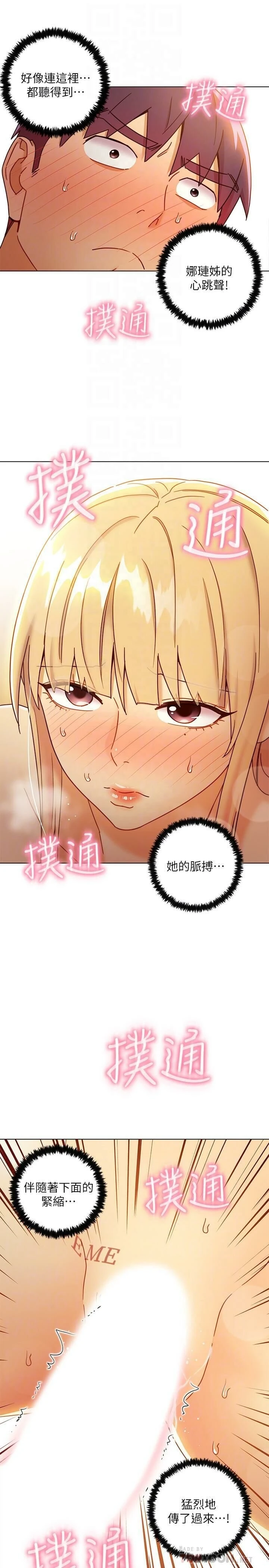 第 6 张