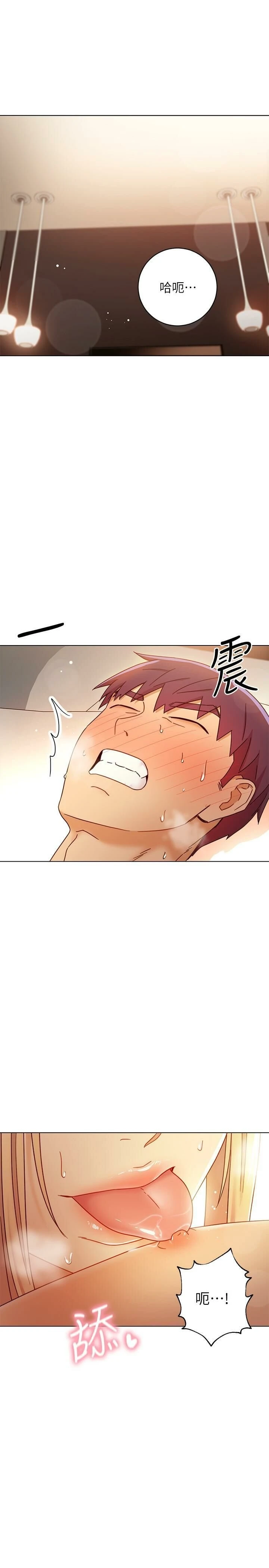 第 3 张