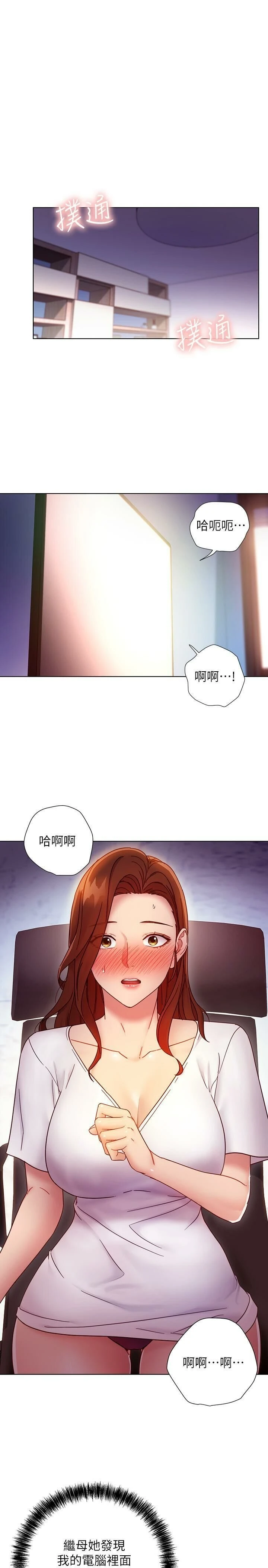 第 3 张