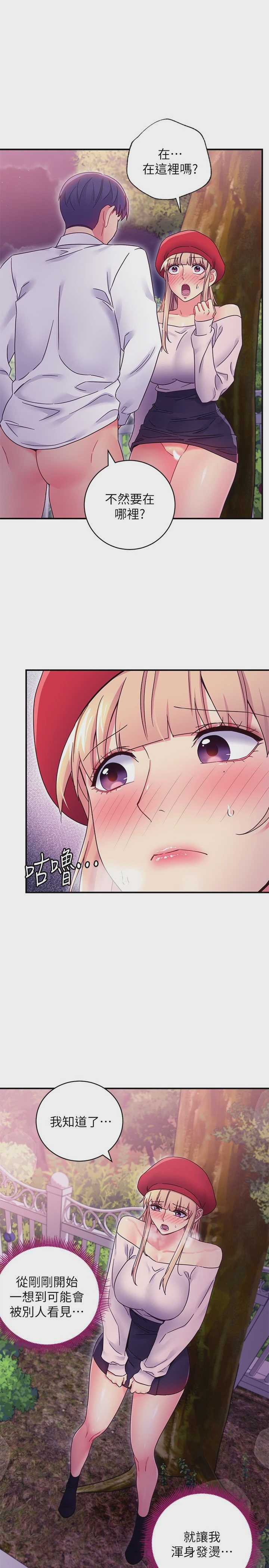 第 11 张