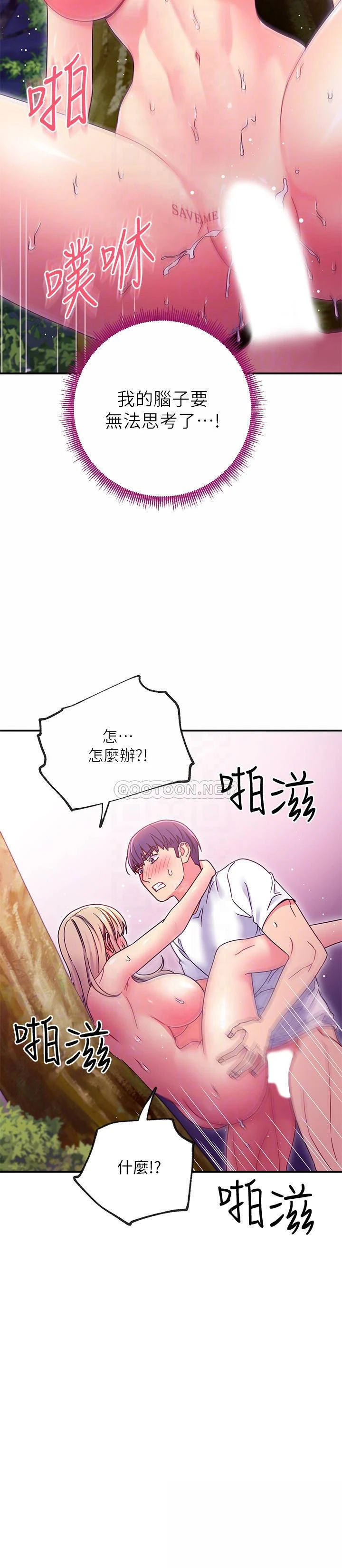 第 6 张