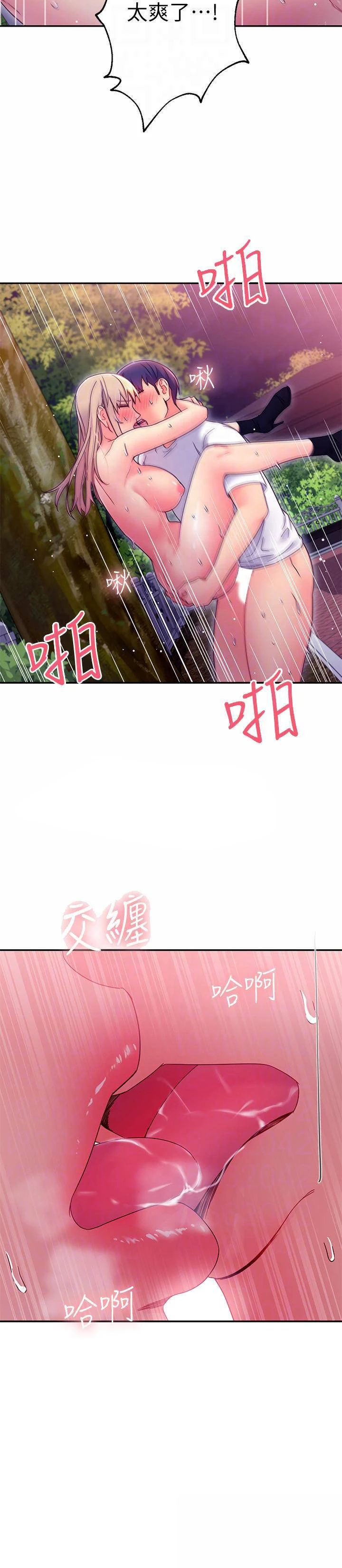 第 10 张