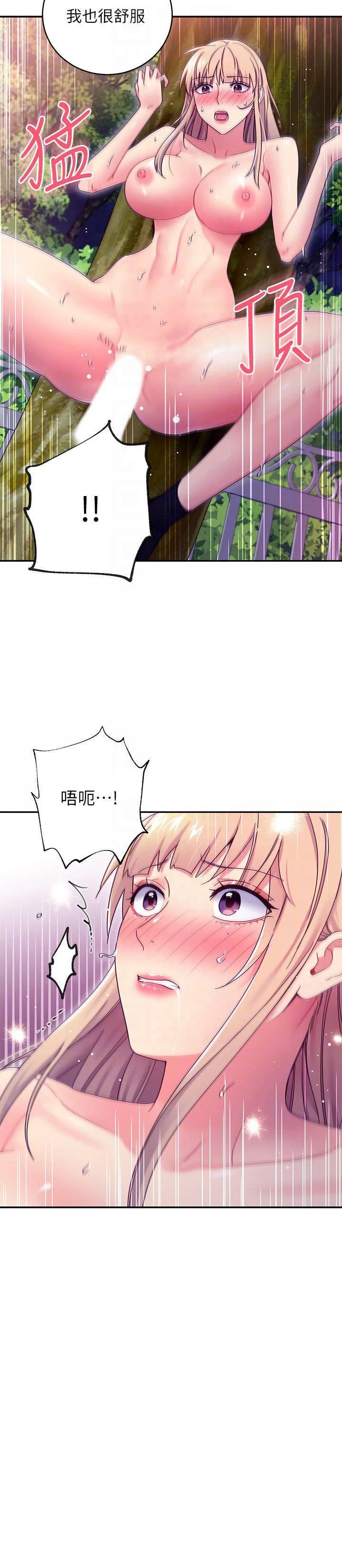 第 12 张