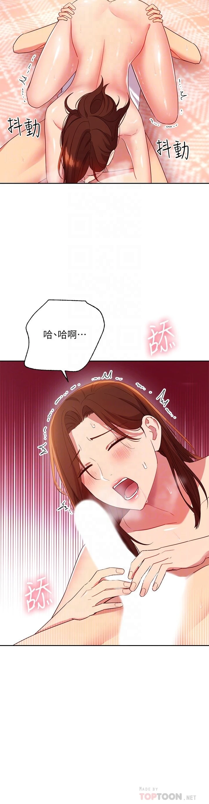 第 10 张