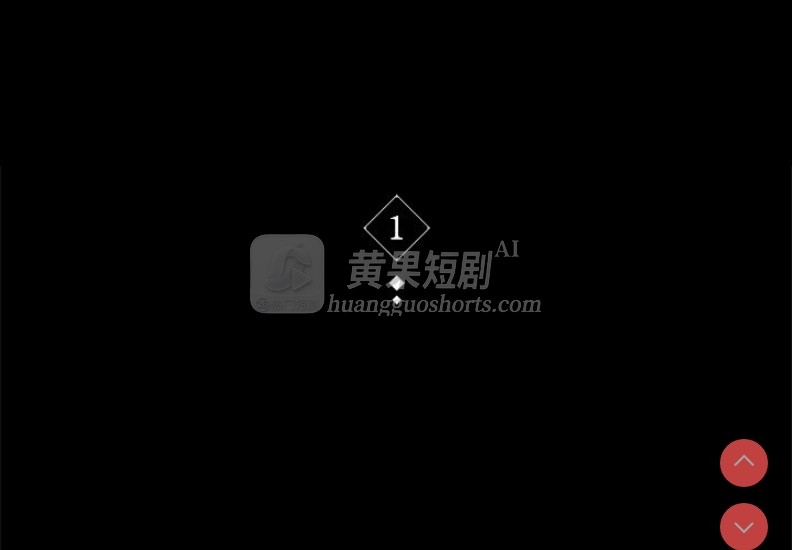 第 3 张
