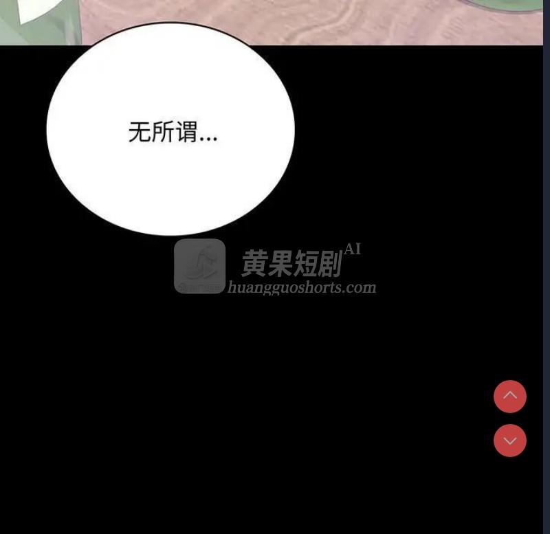 第 9 张