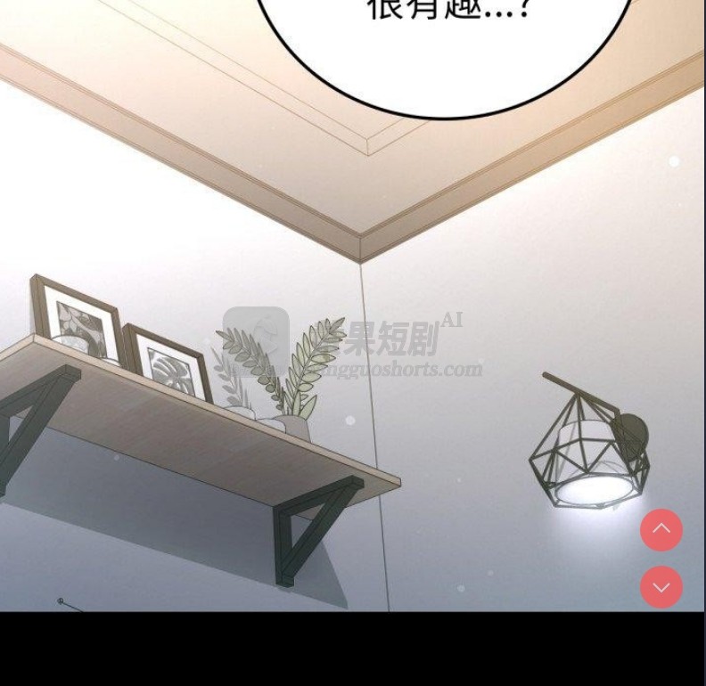 第 5 张