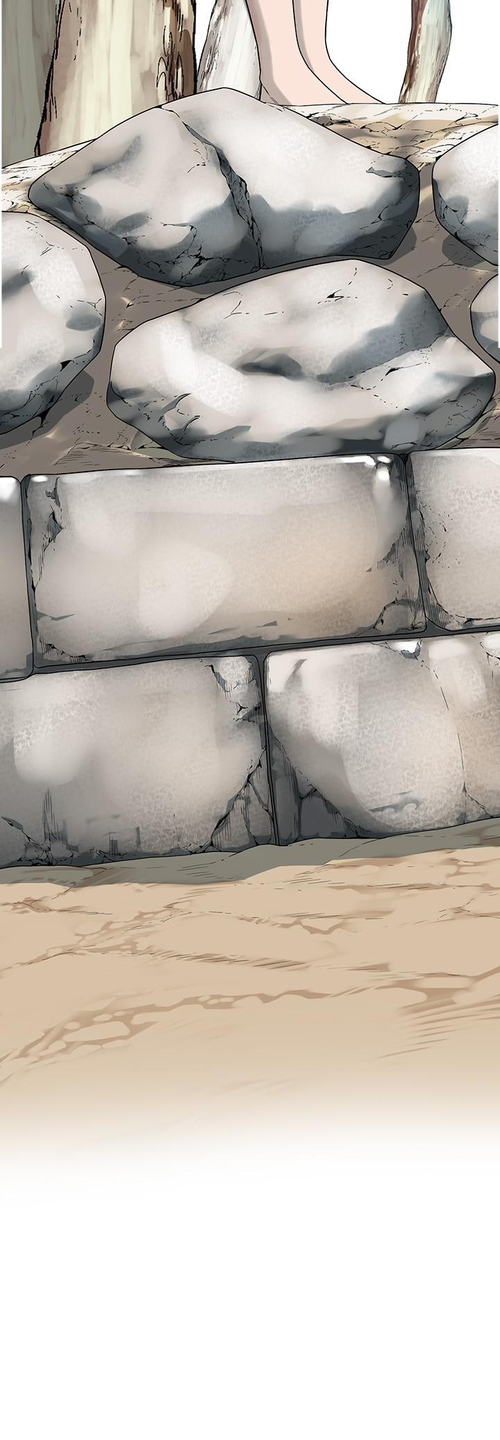 第 8 张