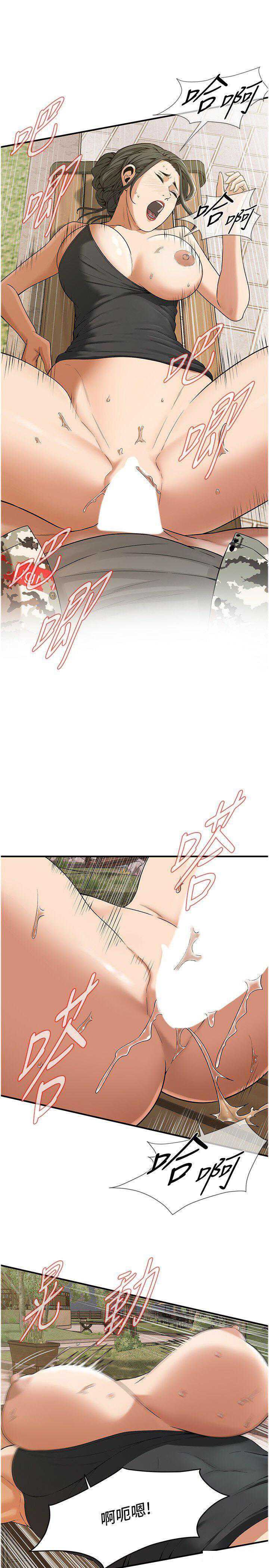 第 12 张