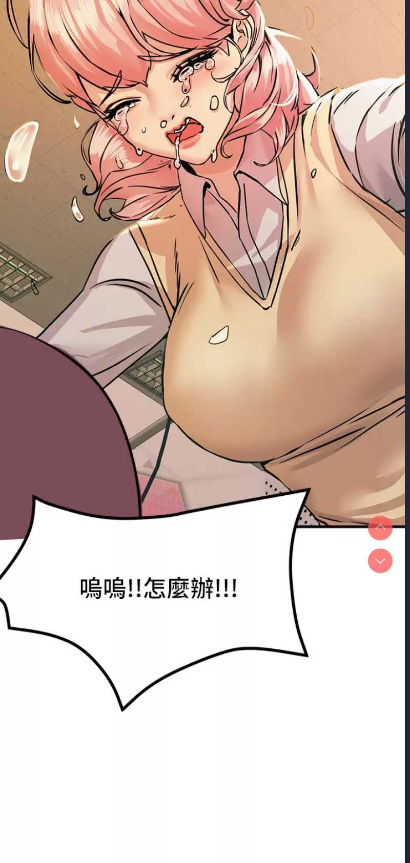 第 3 张