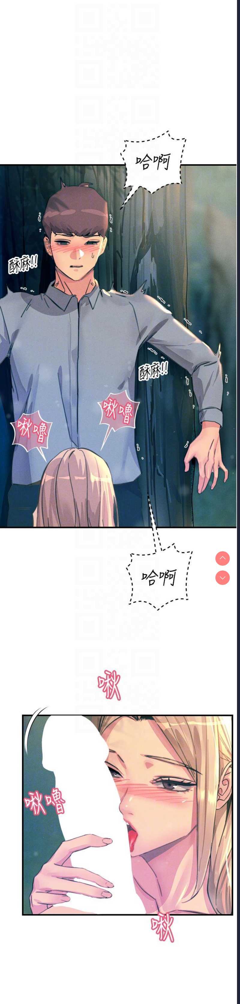 第 6 张
