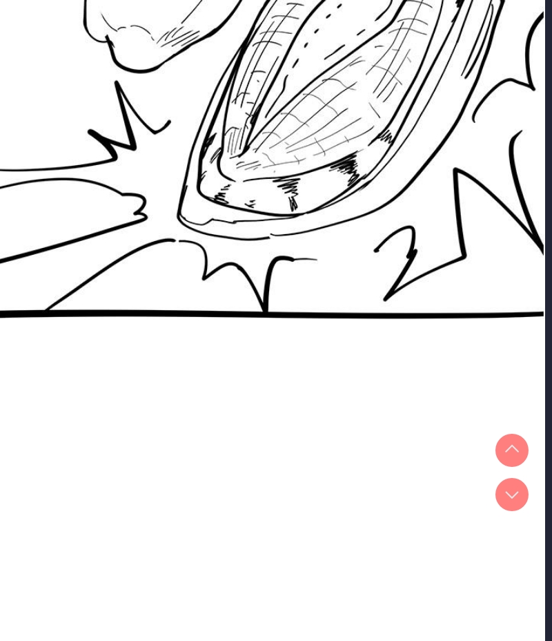 第 4 张