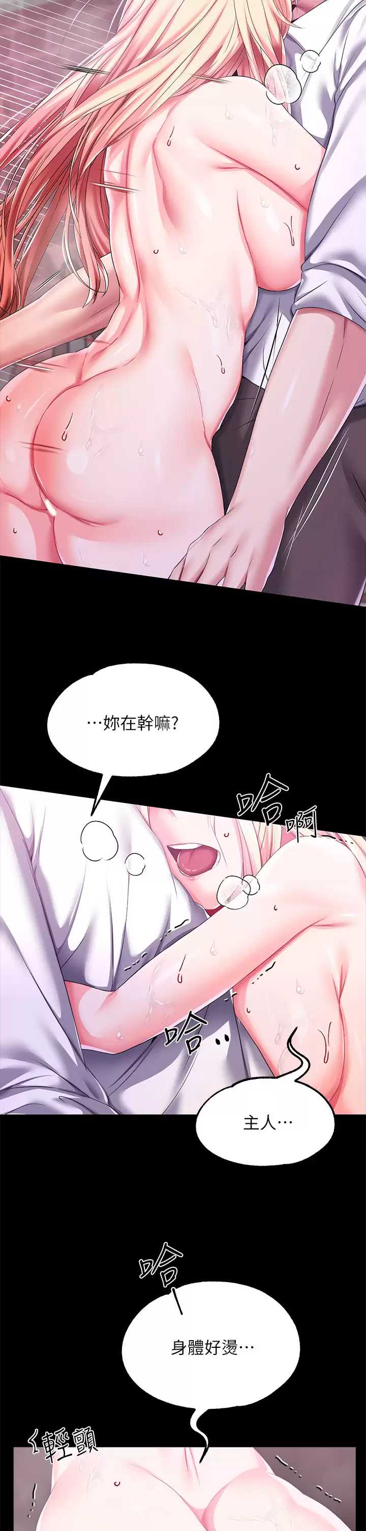 第 11 张