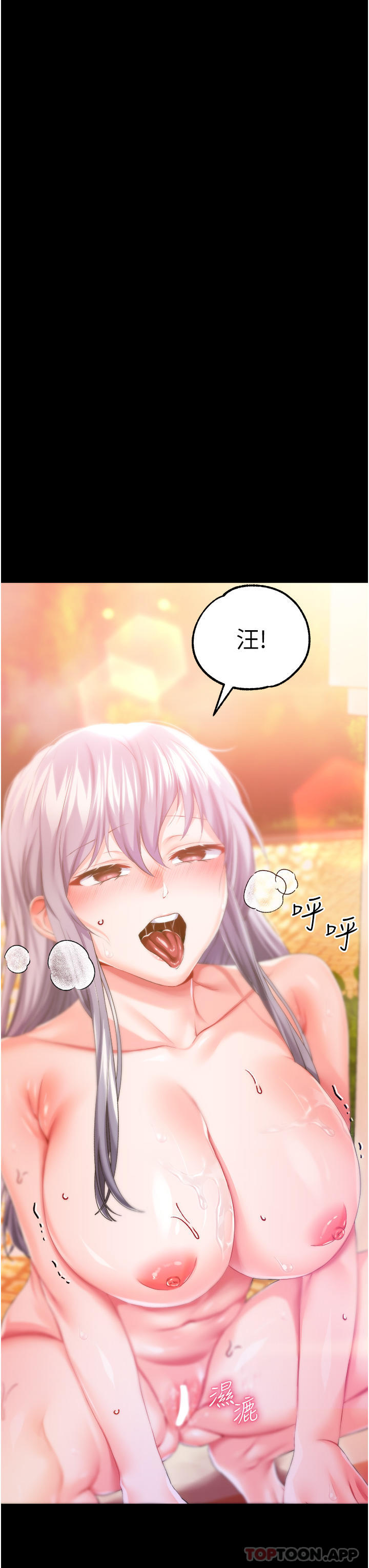 第 3 张