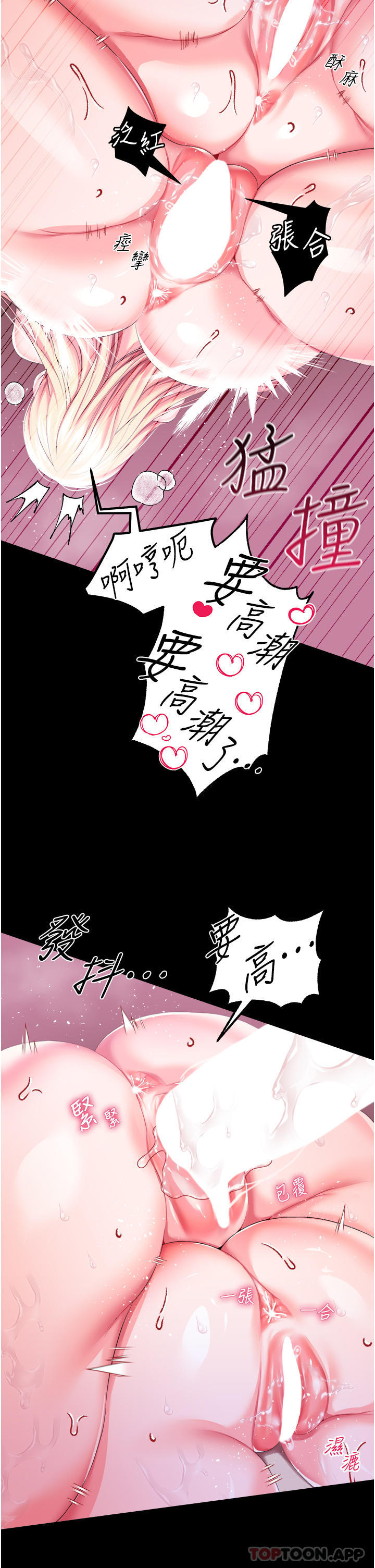 第 9 张
