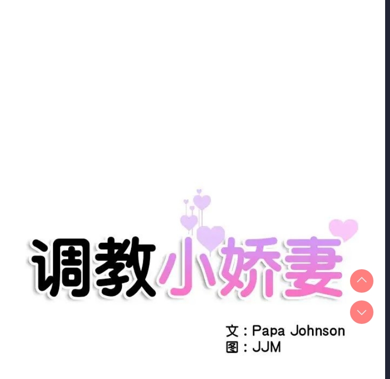 第 12 张