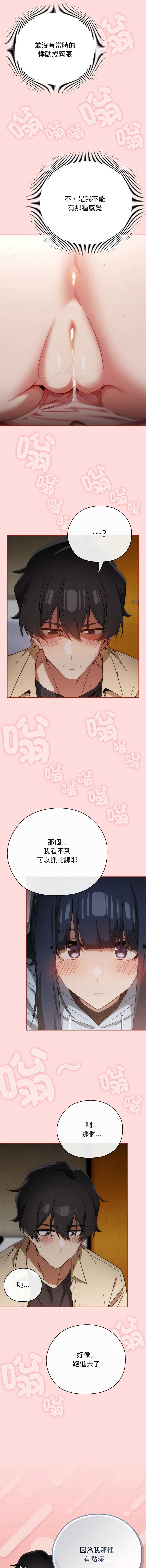 第 7 张