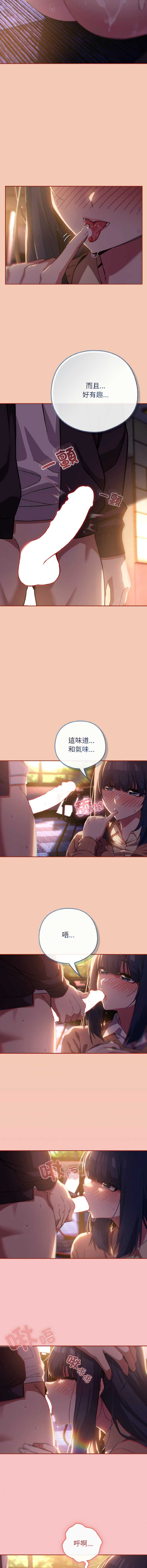 第 6 张