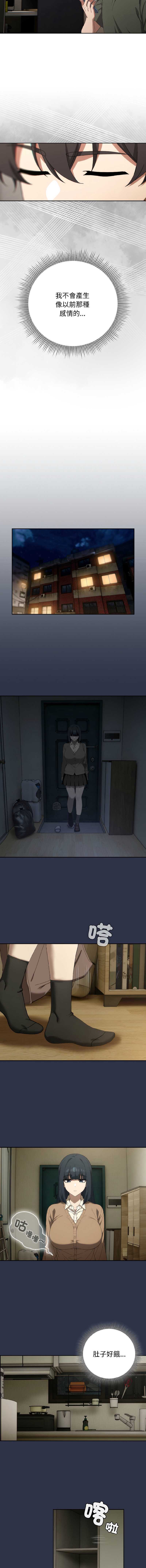 第 10 张