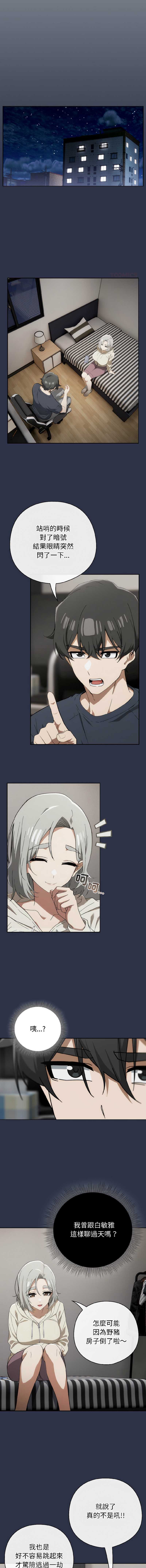 第 12 张