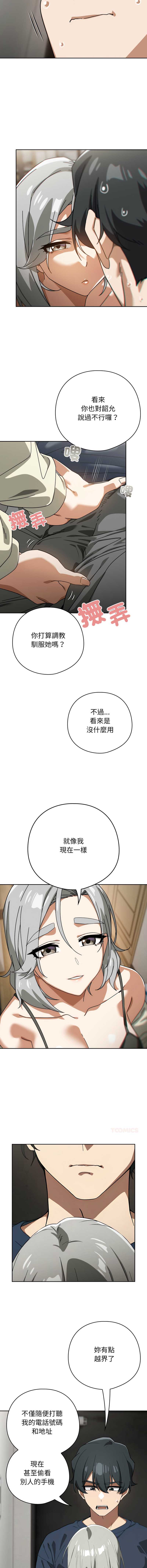 第 3 张
