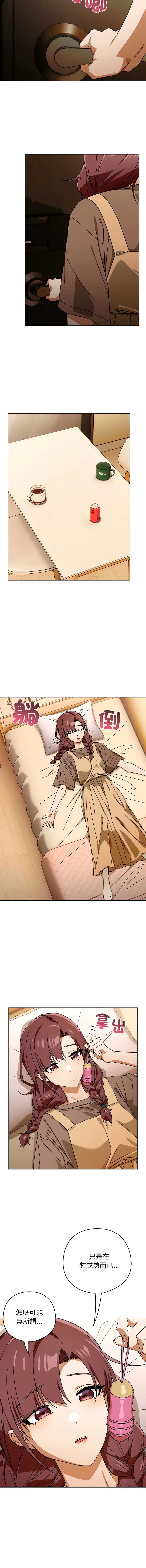 第 11 张