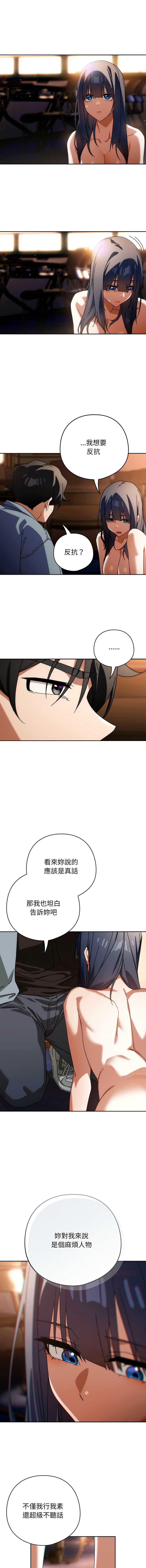 第 6 张