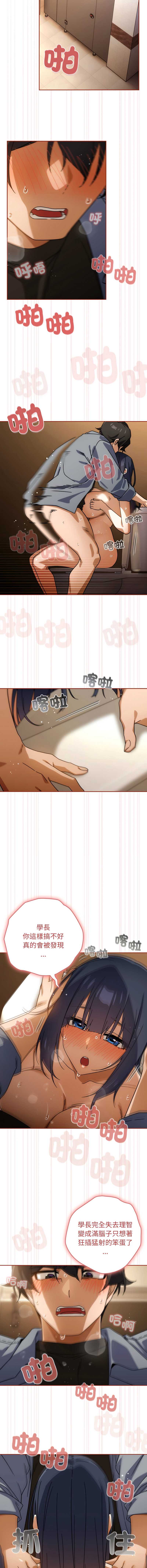 第 6 张