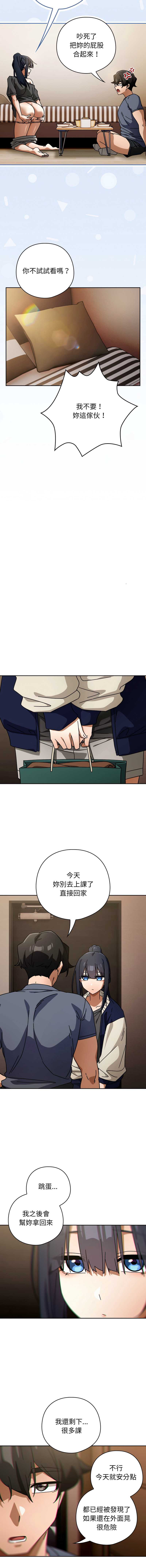 第 7 张