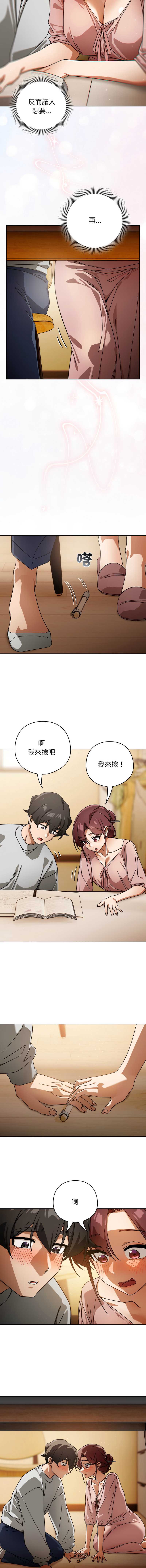 第 12 张