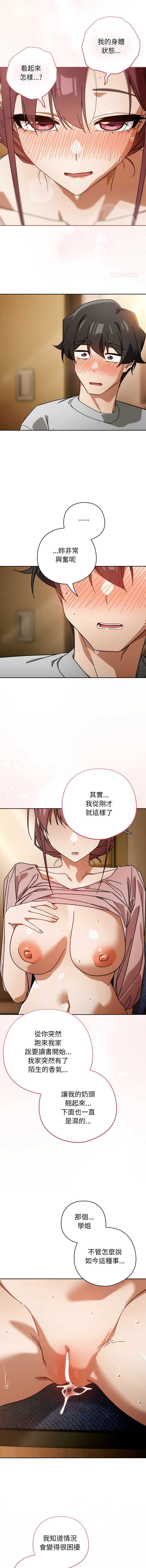 第 12 张
